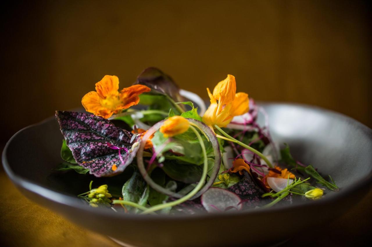 Abesq Doha Hotel And Residences, An Ihg Hotel 外观 照片 A salad prepared by the restaurant