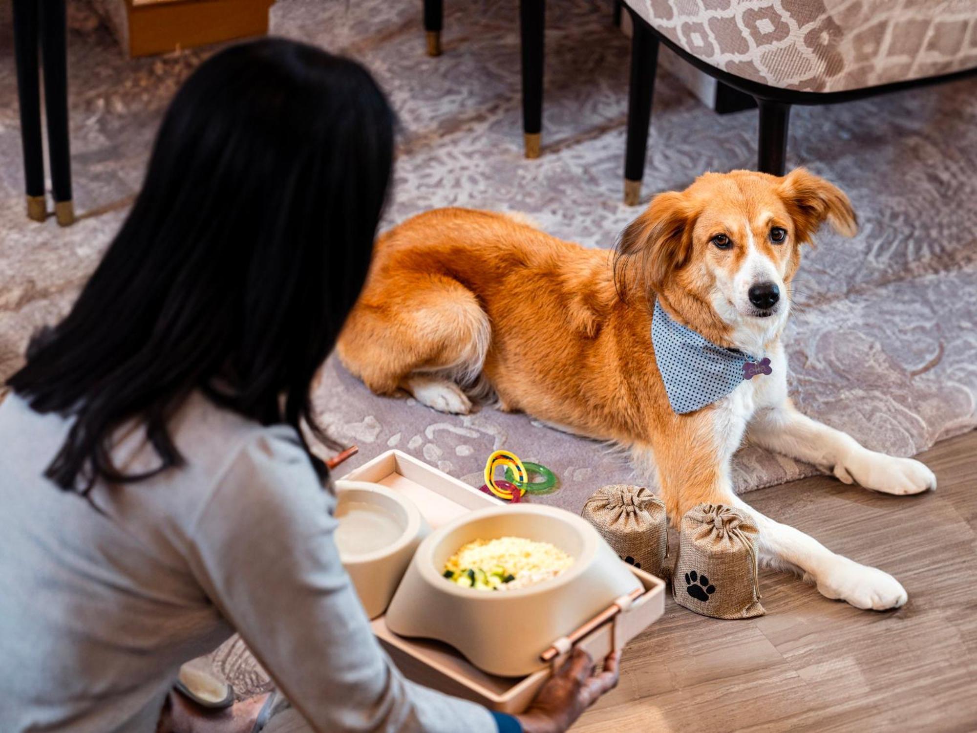 Abesq Doha Hotel And Residences, An Ihg Hotel 外观 照片 A dog at the Four Seasons Hotel, Hong Kong